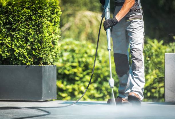Best Dumpster Area Cleaning  in Galeville, NY